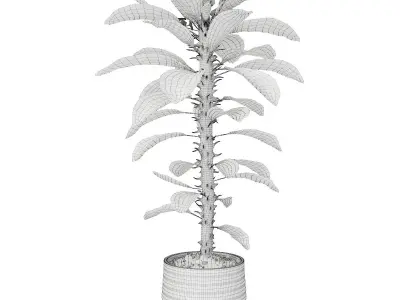 Plant 7 hibiscus flower 3D model