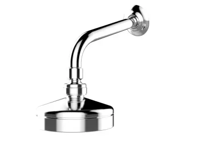 Deca Shower Curved Pipe 3D model