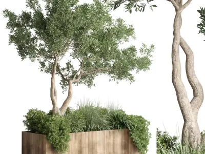 Box Plants on Stand  of houseplants indoor 192 3D model