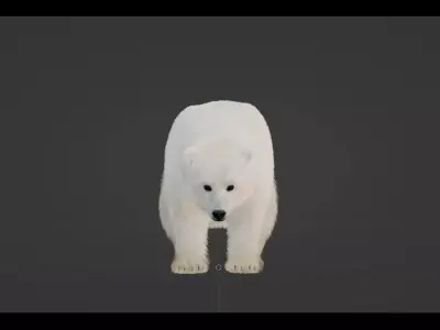 Polar Bear Low-poly 3D model 4