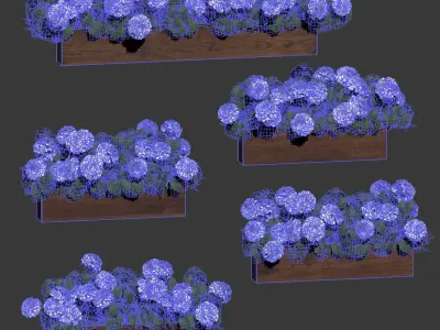 Hydrangea plant in a flowerpot for the facade - 5 models 3D model