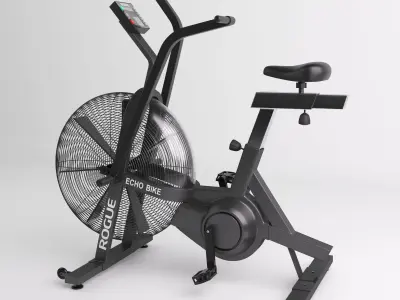 Rogue Echo Bike 3D model