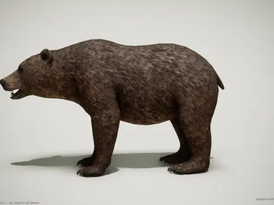 Brown Bear game ready PBR  Low-poly 3D model