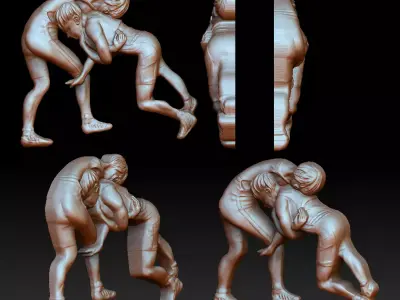 Grapplers bas-relief 3D print model