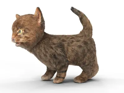 Fur Cute Cat Kitten 01 Animated Low-poly 3D model