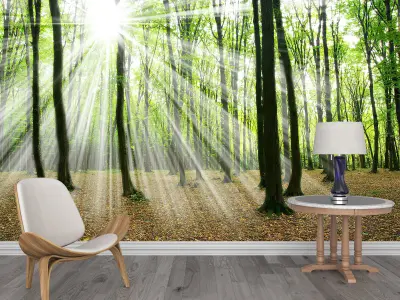 Photo Wallpaper No 11 Low-poly 3D model
