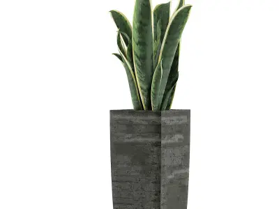 Plants Collection 100 3D model