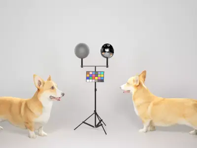 Corgi dog 01 Low-poly 3D model