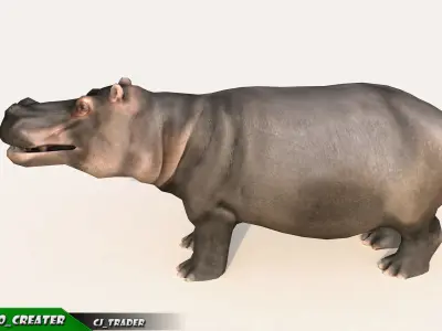 Lowpoly Hippopotamus Animated 3D model Low-poly 3D model