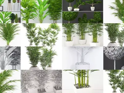 Plants collection 03