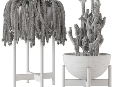 Indoor Cactus Plants in concrete Pot - Set 18 3D model