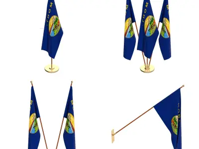 Montana Flag Pack 3D model