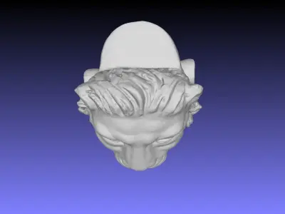 LION HEAD 3D model 8