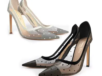 Dior D-Moi Tulle 105mm Pumps 3D model