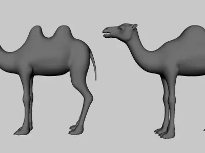Camel Pack  Low-poly 3D model