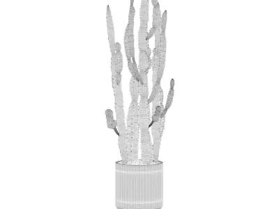 Euphorbia candelabrum cactus in modern flowerpot 3D model