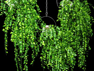 Artificial Sweeping Plant Set 3D model