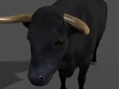 Ultimate Bull - 3d model 3D model