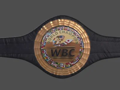 boxer belt 3D model
