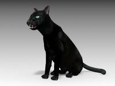 Black Cat Animated Low-poly 3D model