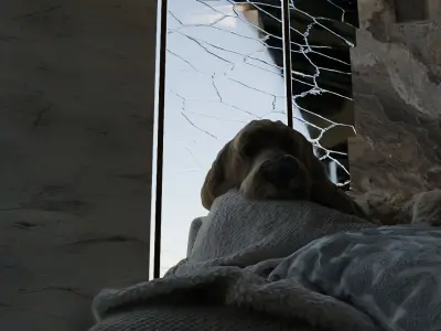 Apocalyptic Flooded Luxury Interior 3D model