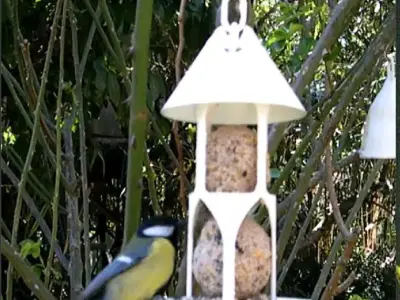 Bird feeder seedballs and seed 3D print model
