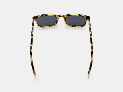 Sutton Sunglasses in Walnut Tortoise 3D model