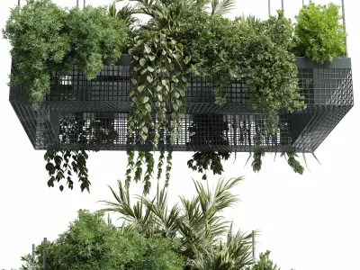 hanging plants - indoor plant set 447 Rectangle pendant pot  3D model