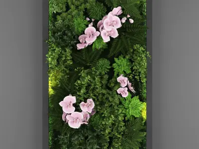 Collection of Vertical garden - 20 