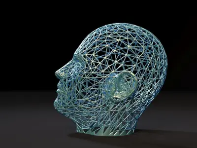 Head voronoi 3D print model