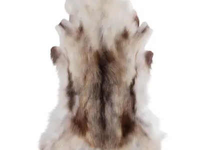 Nine Rugs From Animal Skins 10 3D model