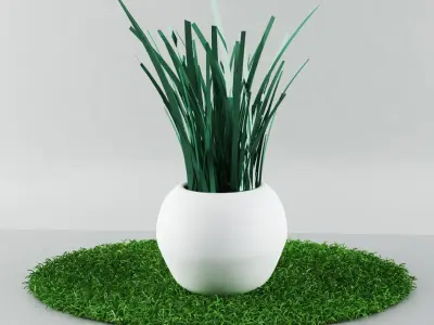 garden plants Free low-poly 3D model