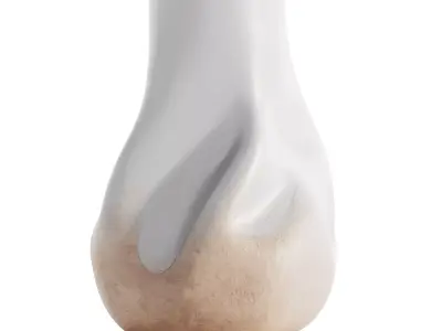 Vases Decor Set 3D model