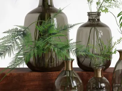 Bouquet of Indoor Grass Herb Plant Glass Vases Set 3D model