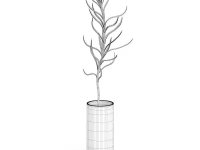 Plant in Glass Pot 3D model