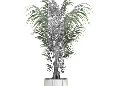 Decorative palm in a white flowerpot 518 3D model