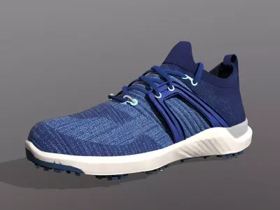 HYPER FLEX Shoe 3D model