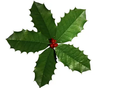 Holly Free low-poly 3D model