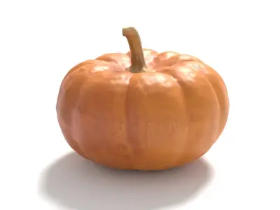 Decorative Gourd Pumpkin Squash Orange 3D Scan 3D model