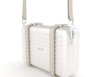 Dior and Rimowa Clutch Shoulder Gray 3D model