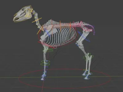 Horse Skeleton Accurate Anatomy 3D model
