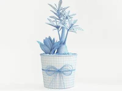 Decor Dish Planter 3D model