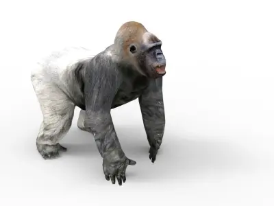 3D Model Gorilla Animated and Rigged Low-poly 3D model