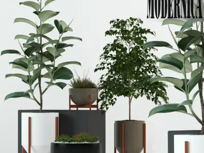 Plants collection 78 Modernica pots 3D model