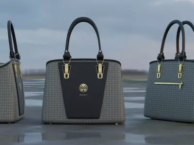 Modern Classic Chic Contrast Luxury Handbag 3D model