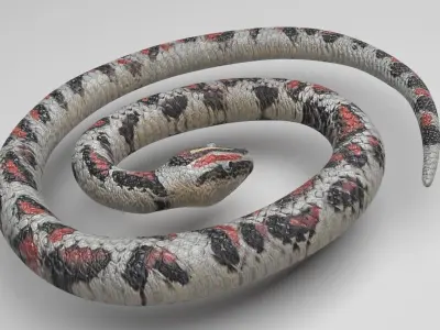 Rubber Snake 3D model