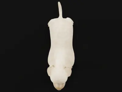 Retriever Puppy Dog 3D model