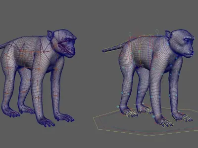 Rhesus Monkey Rig UNREAL project   Maya base rig 3D model