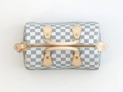 Speedy 25 Hand Bag Checker Blue Low-poly 3D model