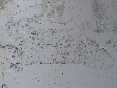 stucco 517 Texture